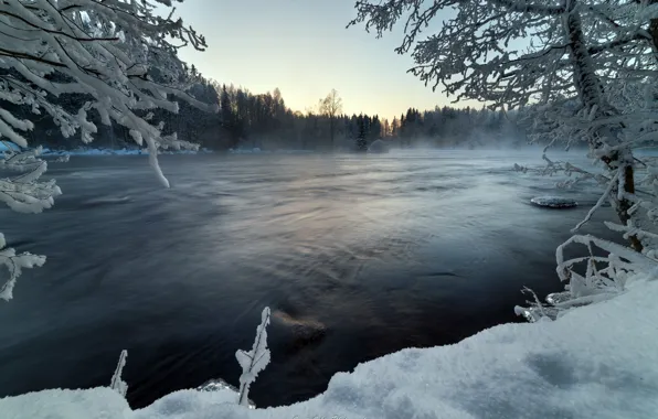 Картинка туман, река, зима