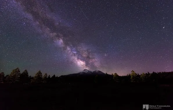 Лес, небо, звезды, Млечный путь, метеоры, photographer, Kenji Yamamura