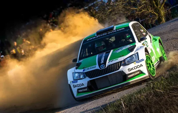 Картинка Пыль, Поворот, Rally, Ралли, Skoda, Fabia, WRC2