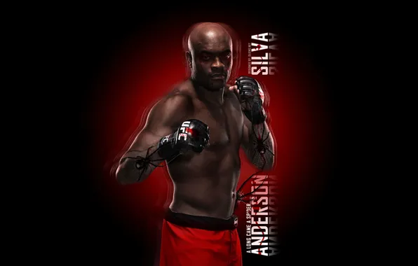 Anderson Silva, UFC, Spider