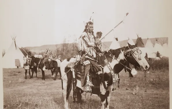 Horse, warrior, chief, native american, first people, proud chief