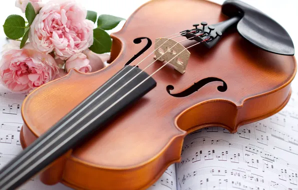 Картинка цветы, ноты, скрипка, розы, музыкальный инструмент