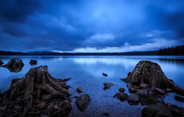 Природа, озеро, сумерки, Oregon, Timothy Lake
