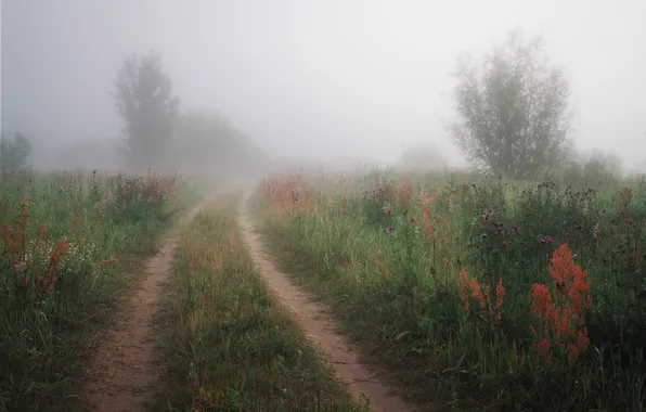 Картинка пейзаж, туман, утро, Евгений Смольский