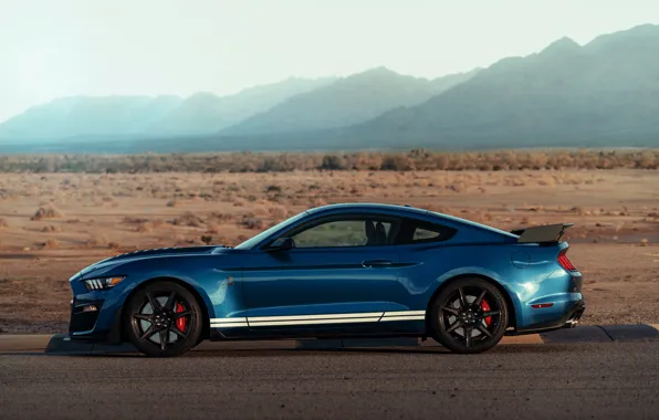 Синий, Mustang, Ford, Shelby, GT500, вид сбоку, 2019