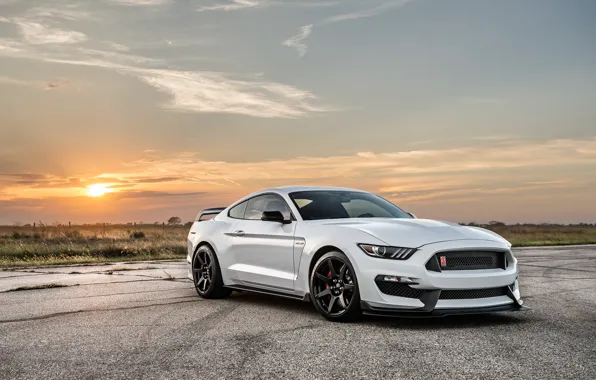 Картинка Shelby, Hennessey, front view, GT350R, Hennessey Shelby GT350R