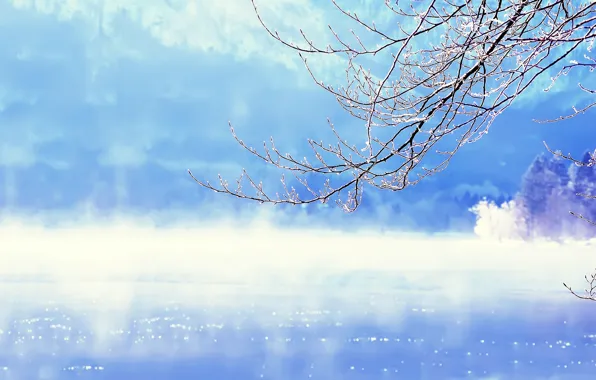 Картинка зима, вода, снег, ветки, озеро, дерево, Словения, Slovenia