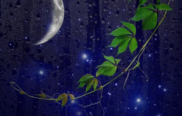 Moon, night, window, drops, darkness