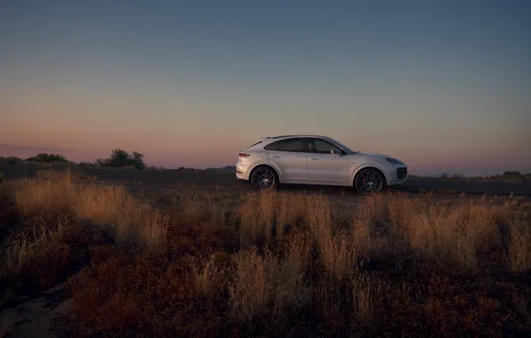 Картинка Porsche, Cayenne, side view, Porsche Cayenne Turbo E-Hybrid Coupe