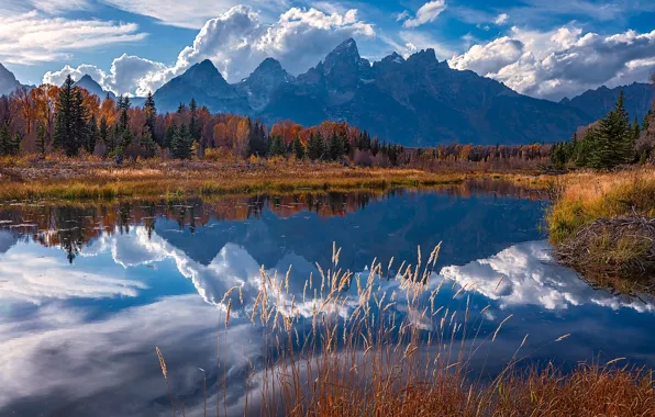 Осень, горы, отражение, река, Вайоминг, Wyoming, Гранд-Титон, Grand Teton National Park