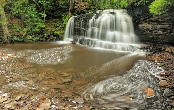 Лес, деревья, парк, ручей, камни, водопад, США, Michigan