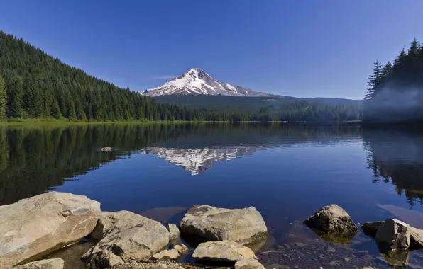 Картинка лес, отражение, камни, Орегон, Oregon, Trillium Lake, Mount Hood, озеро Триллиум