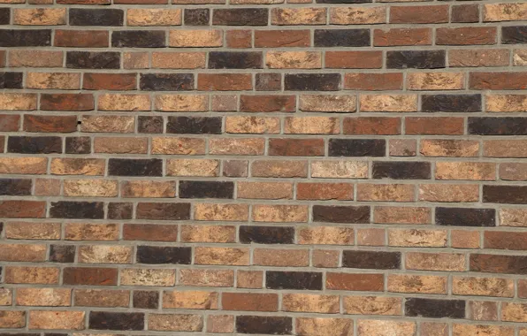 Wall, bricks, pattern