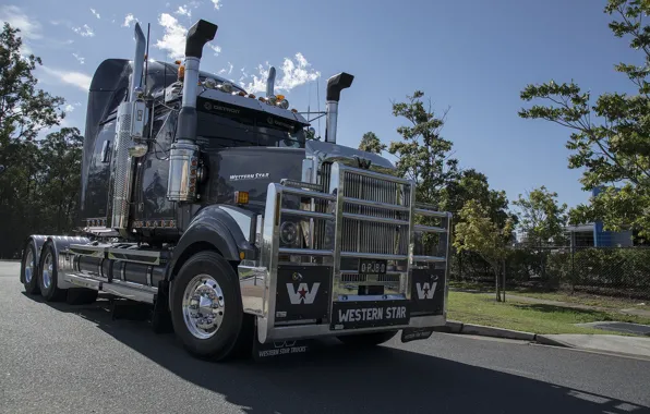 Картинка Gray, Western Star, 4900