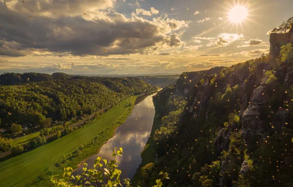 Картинка лес, солнце, горы, река, птица, берег, водоем