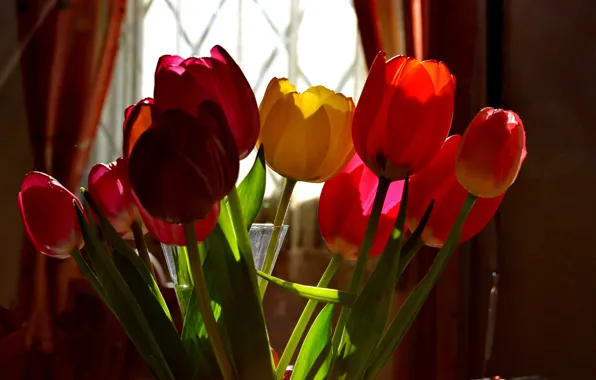 Окно, Tulips, Весна, Тюльпаны, Spring, Комната, Colors