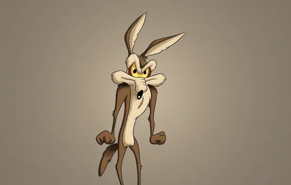 Минимализм, голова, светлый фон, Looney Tunes, Wile E. Coyote, Луни Тюнз, Весёлые мелодии, Хитрый Койот