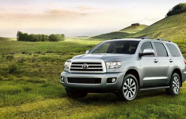 Toyota, platinum, sequoia