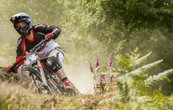 Велосипед, гонка, спорт