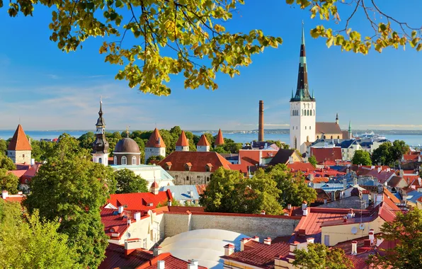Картинка europe, fortress, historic, estonian, famous place, estonia, european