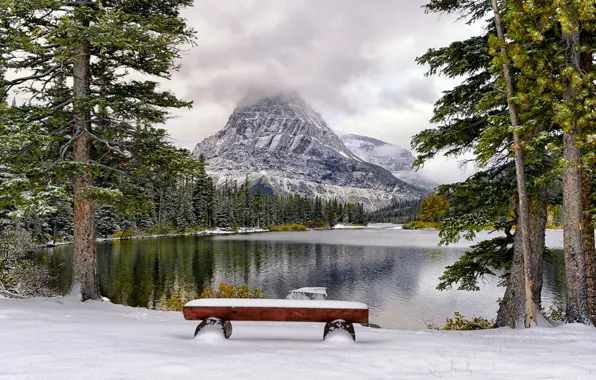 Картинка зима, снег, деревья, горы, озеро, парк, скамья