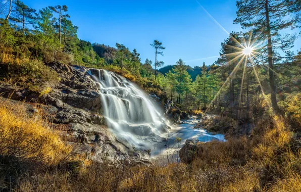 Картинка лес, солнце, водопад, Норвегия, Norway, Rogaland, Kvitingen