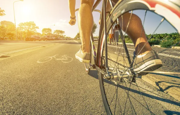 Дорога, лето, велосипед, спортсмен, healthy lifestyle, sports track