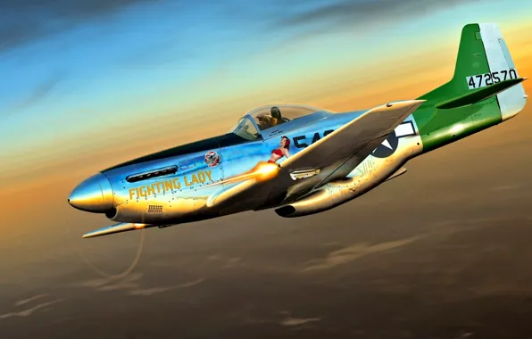 Mustang, P-51, World War 2, 506th FG, Fighter Aircraft, 475th FS, P-51D-25-NA