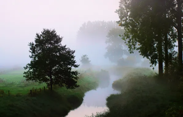 Картинка деревья, природа, туман, река, утро