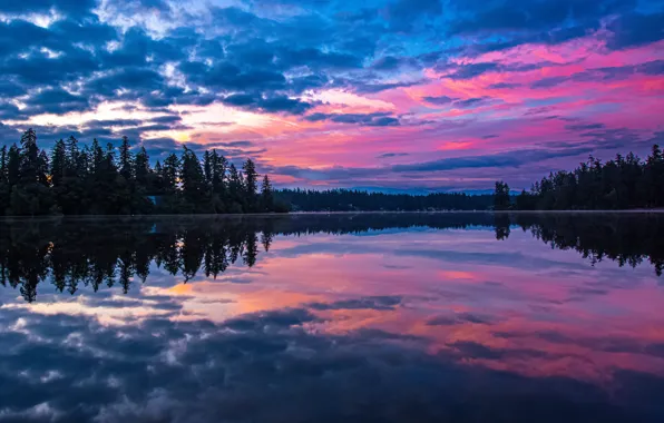 Картинка лес, небо, озеро, отражение, рассвет, утро, Washington State, Штат Вашингтон