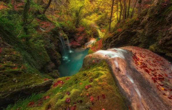 Картинка осень, пейзаж, природа, озеро, водопад, красные листья, тонкие струйки