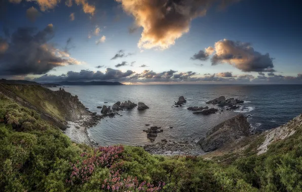 Море, природа, берег