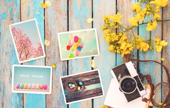 Картинка цветы, фото, яйца, весна, камера, colorful, Пасха, vintage