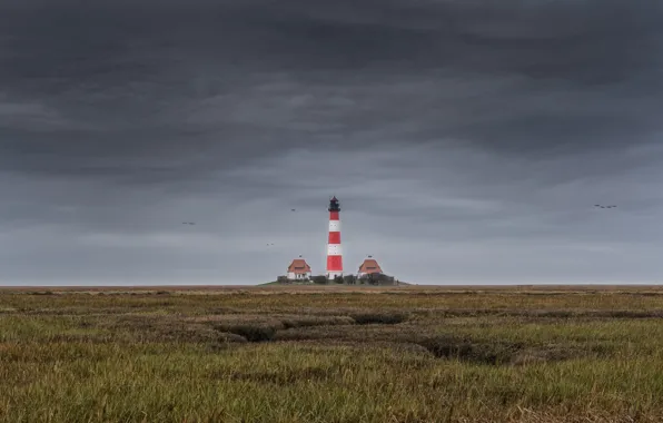 Landscape, nature, lighthouse, North Sea, Schleswig-Holstein, Westerhever