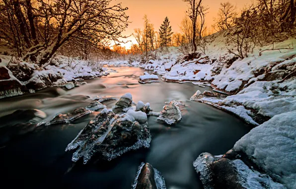 Картинка лед, зима, лес, снег, деревья, закат, природа, река