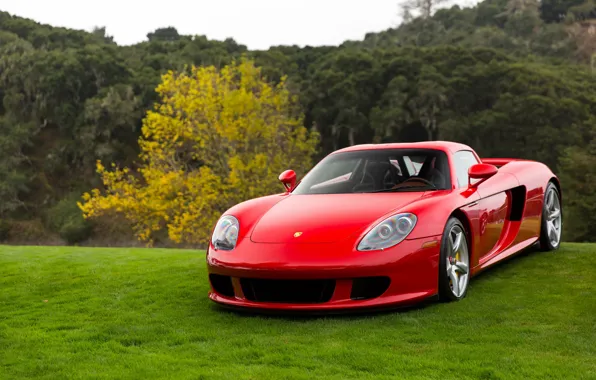 Porsche, Red, Carrera