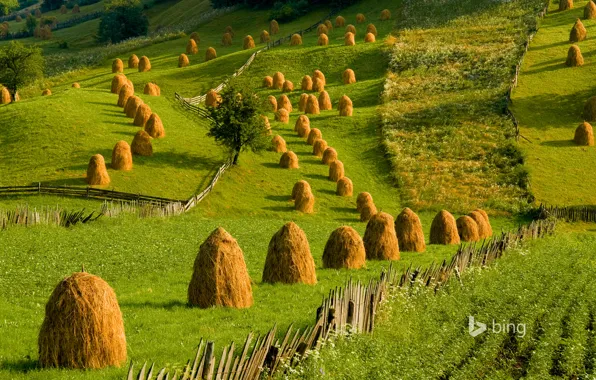 Картинка трава, холмы, стог, Румыния, копна, Букавына