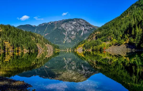 Картинка лес, небо, вода, солнце, деревья, горы, озеро, отражение