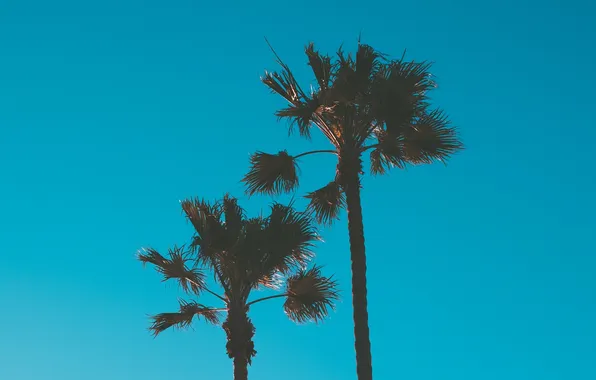 1920 x 1200, 1920 x 1080, 1440p