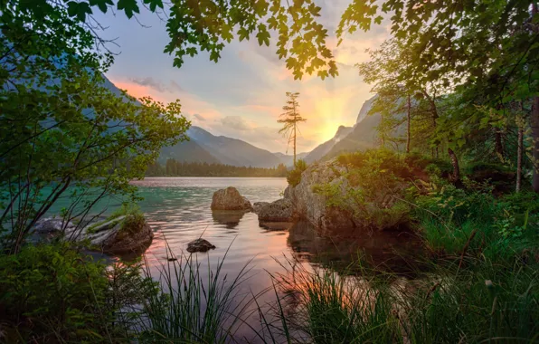 Лес, лето, трава, свет, закат, горы, ветки, озеро