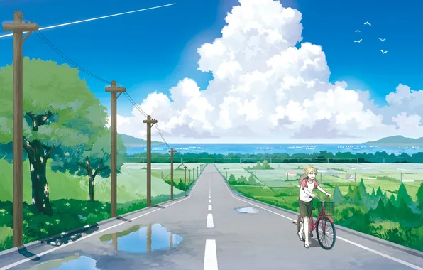 Дорога, небо, облака, природа, велосипед, провода, аниме, арт