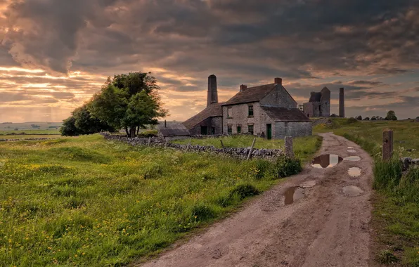 Дорога, поле, пейзаж, дома