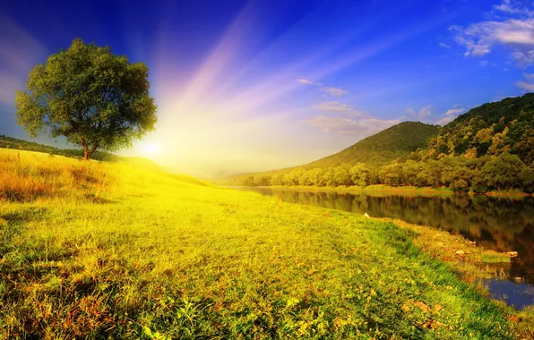Картинка небо, трава, вода, солнце, лучи, деревья, природа, река