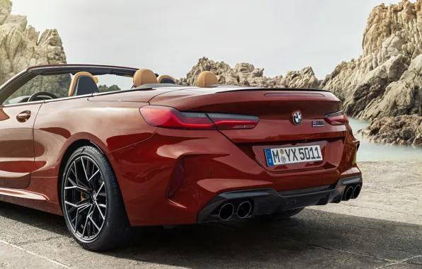 BMW, кабриолет, задняя часть, 2019, BMW M8, M8, F91, M8 Competition Convertible