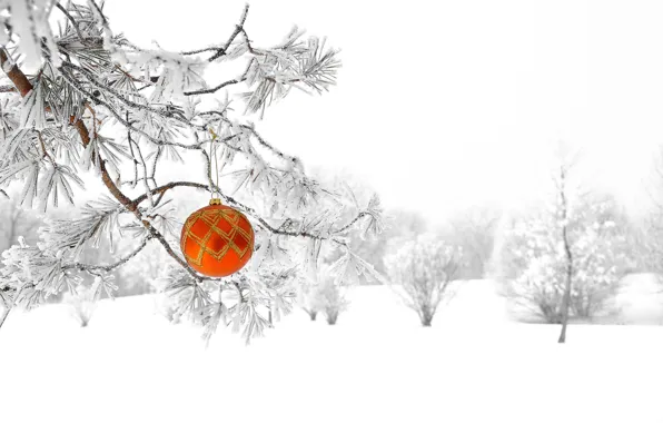 Картинка зима, лес, снег, природа, елка, новый год, рождество, шарик