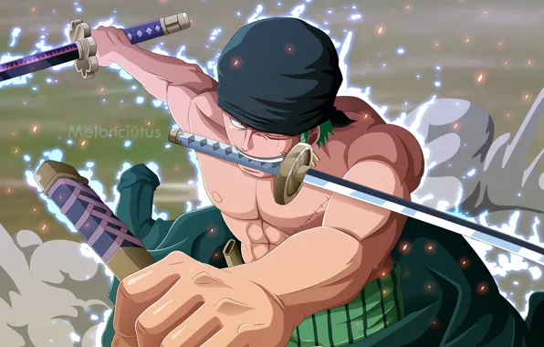 Оружие, парень, мечи, One Piece