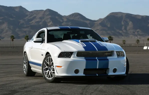 Ford, Shelby, 350