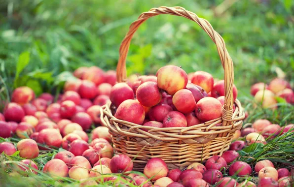 Лето, корзина, яблоки, Wicker, Many, Apples