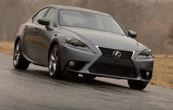 Машина, асфальт, Lexus, вид спереди, IS 350