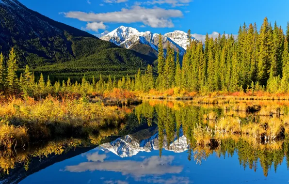 Картинка осень, лес, горы, озеро, отражение, Канада, Альберта, Banff National Park